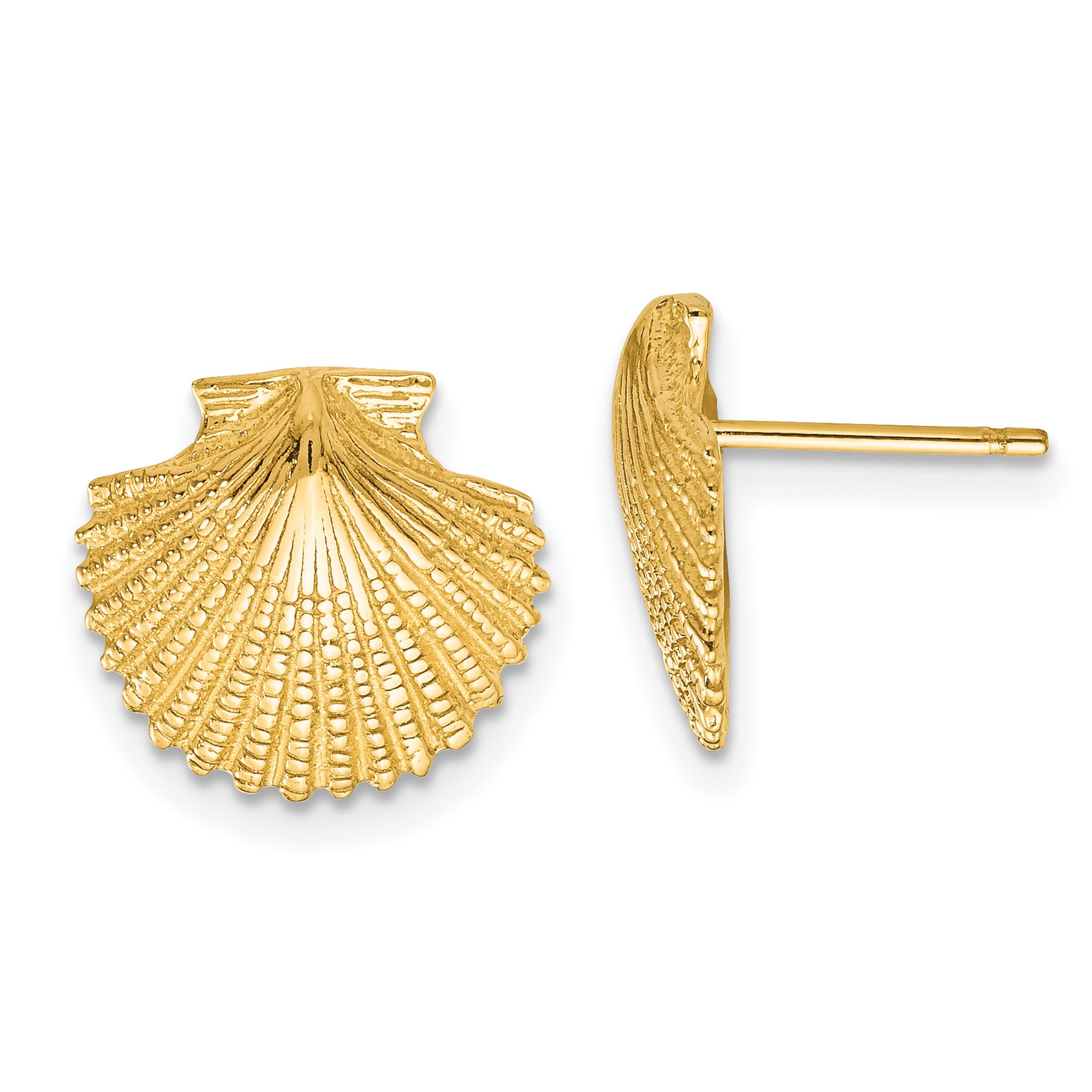 Pre-owned Jewelry Stores Network 14k Yellow Gold Scallop Shell Post Earrings 13x13 Mm